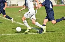 山东两家国,有企业股权,出售,米兰体育平台,米兰体育官方网站,米兰体育登录入口,米兰体育app下载