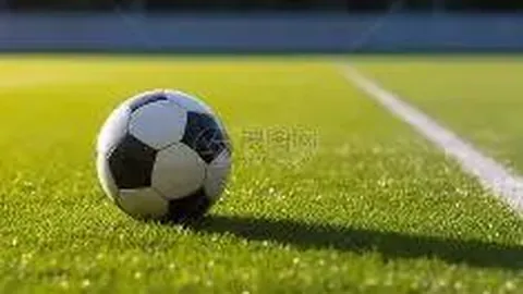 2025年国内体坛十大焦点事件